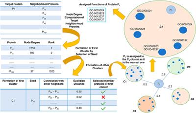 PFP-GO: Integrating protein sequence, domain and protein-protein interaction information for protein function prediction using ranked GO terms